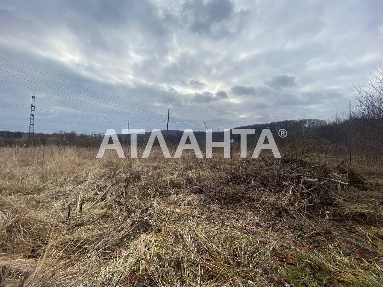 Продаж Землі с. Бережани, 48.1 сот