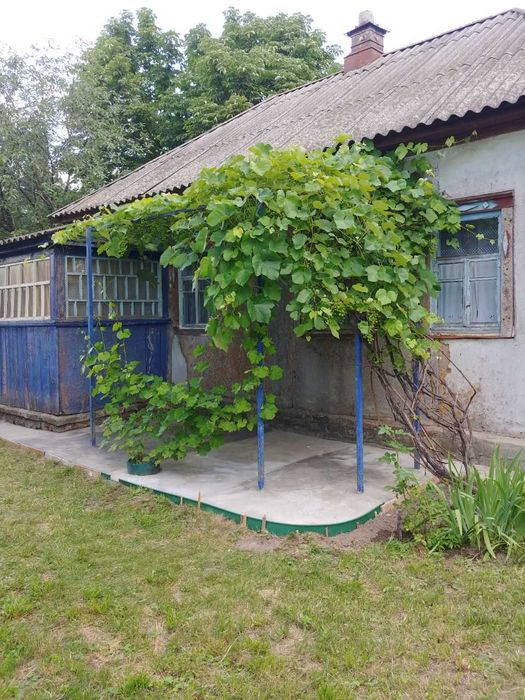 Будинок з ділянкою в селі Красилівка