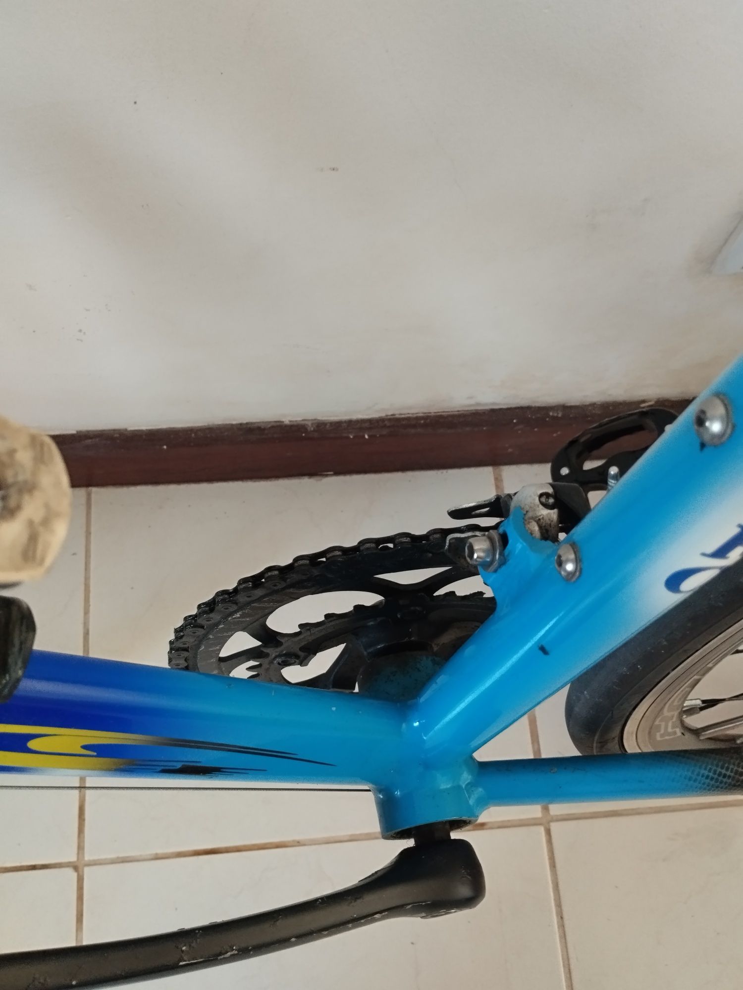 Vendo bicicleta Valdemiro t.54
