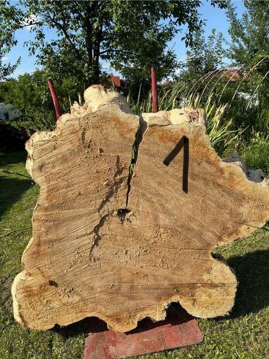 Plastry na blaty stołu z drzewa topoli