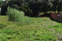 Terreno para Construção - Maceira Leiria