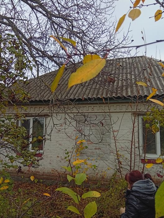 Продам будинок в селі Подорожнє