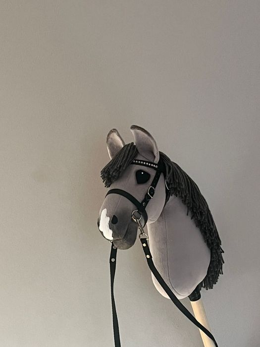 Hobby horse siwy lekki do skoków.