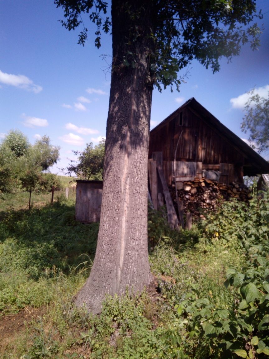 Продається земельна ділянка