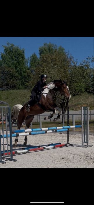 Wspóldzierzawa konia - wicher