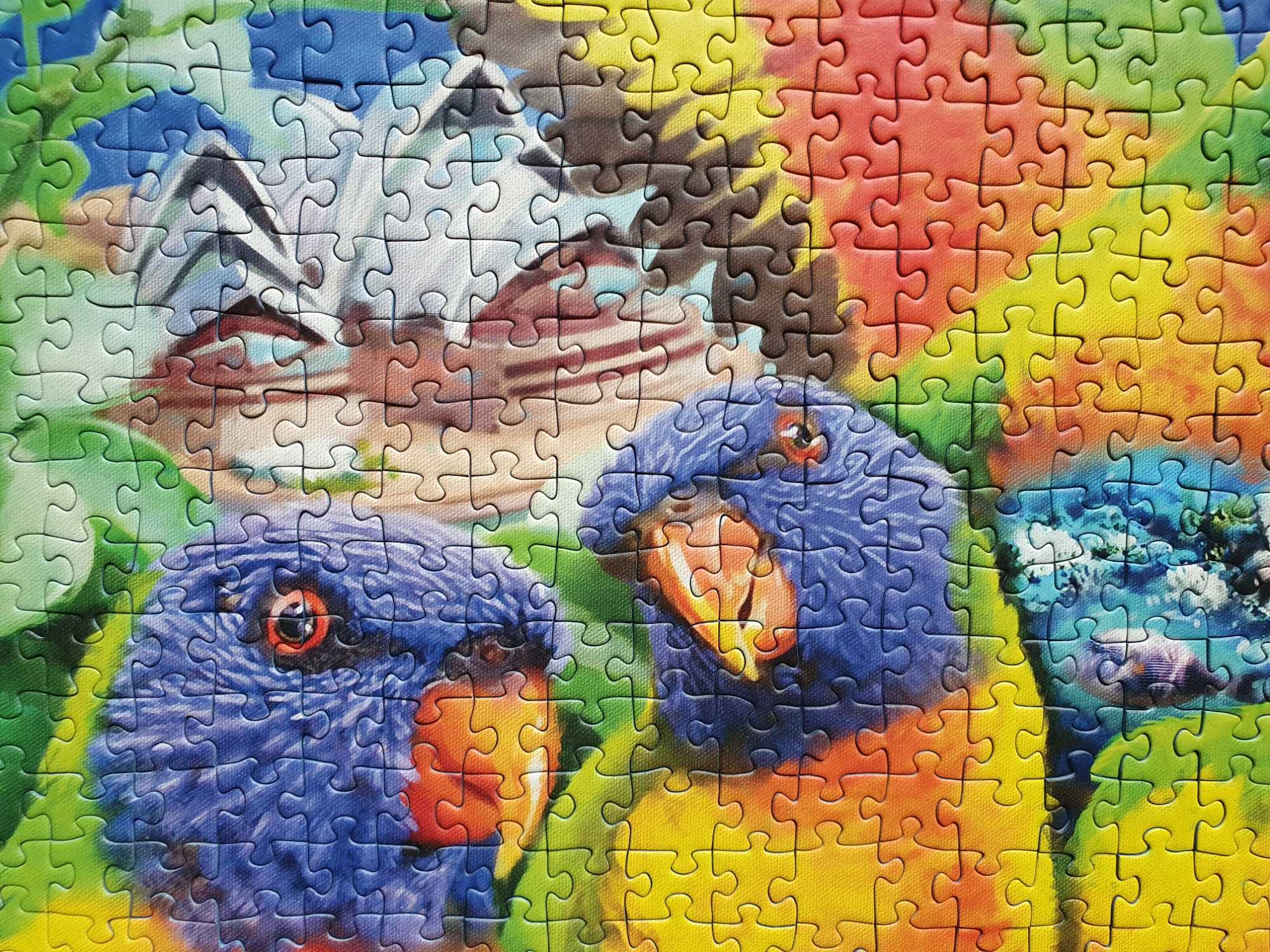 Puzzle Ravensburger 1000 papugi