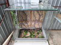 Terrarium z wyposażeniem dla gada