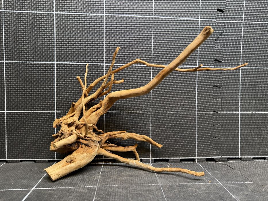 Korzeń red moor wood n-293