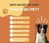 Pet Sitter em Coimbra e Figueira da Foz!