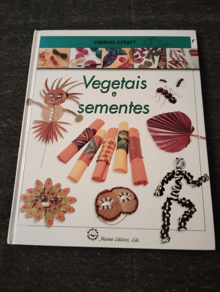Livro Infantil Coleção Vamos Criar Usado