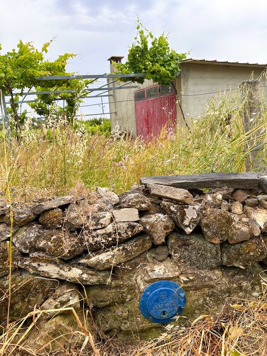 Terreno com 3.400 m2 para venda em Penamacor