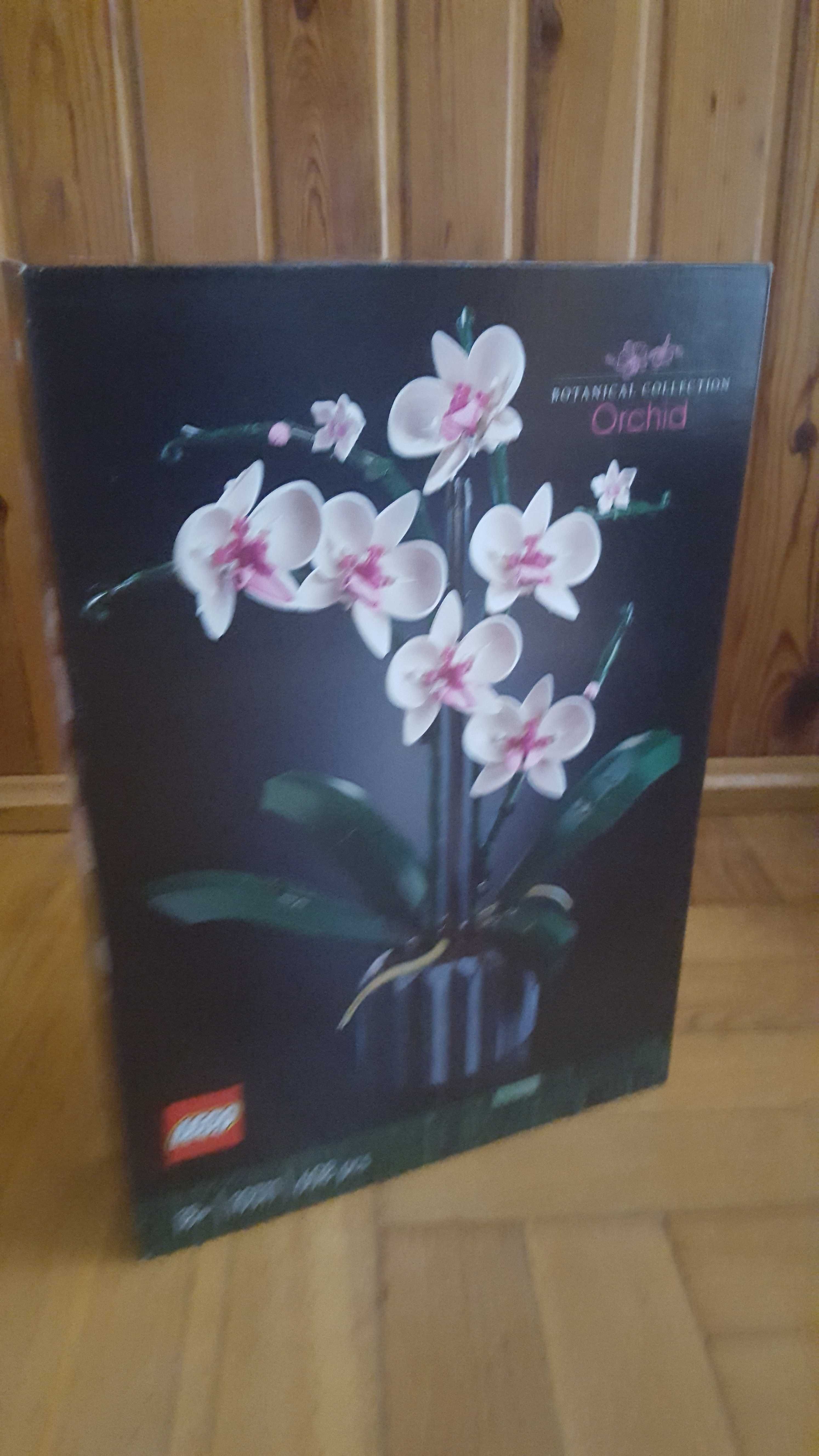 LEGO 10281 i 10311 z serii ICONS, Bonsai i Orchidea - NOWE Wrocław