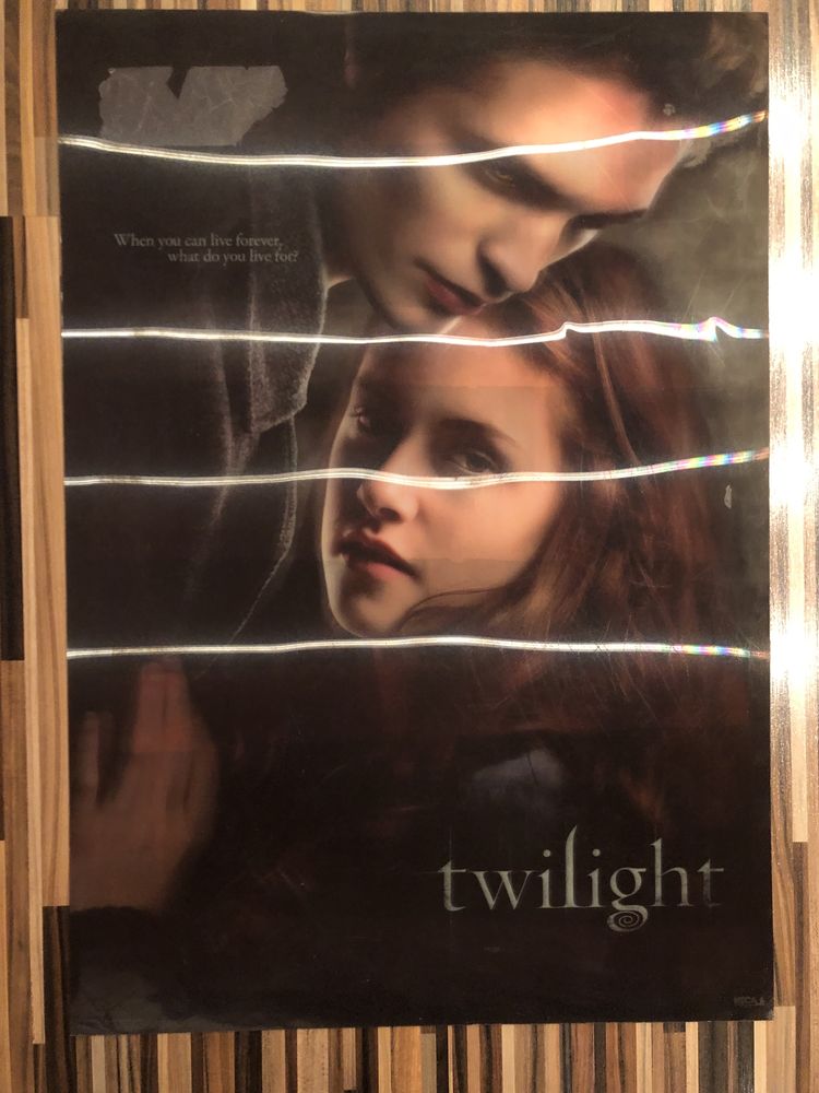 Plakat 3D Zmierzch