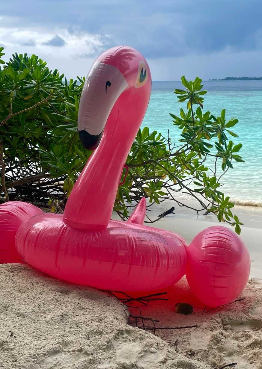2w1 Materac Dmuchany Flaming + GRATIS Koło Dmuchane Mocny Basen Plaża