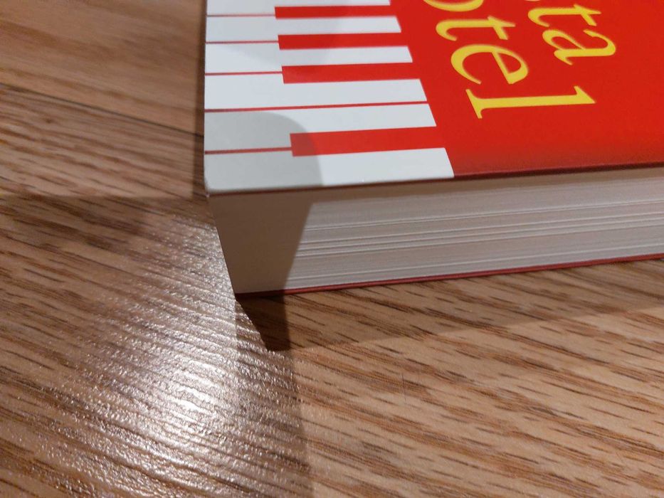 Livro O Pianista de Hotel