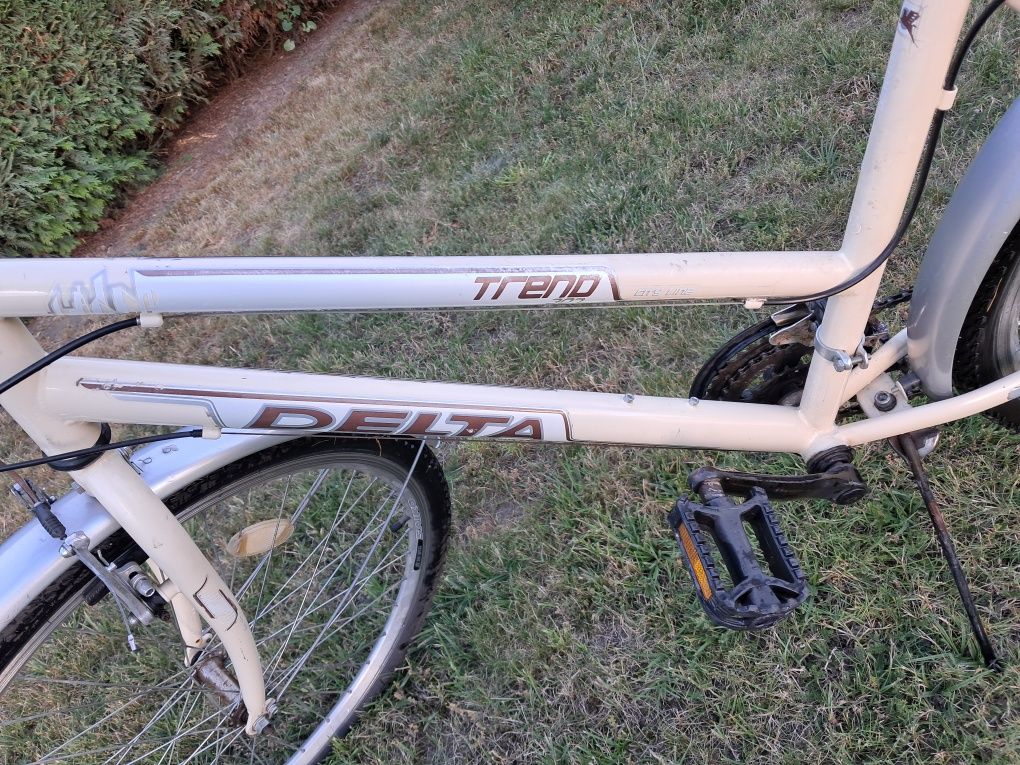 Rower Delta Trend