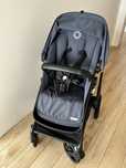 Bugaboo fox cub