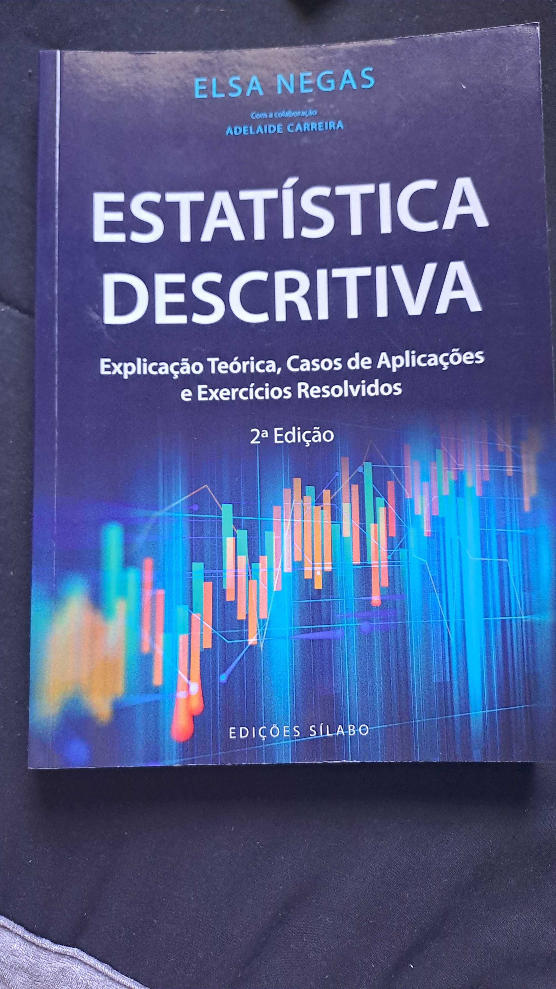 Estatísticas Descritiva de Elsa Negas