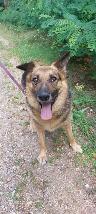 Jestem Kobra i czekam na dom!