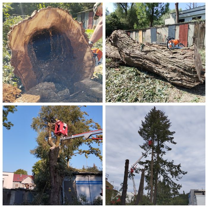 Usługa obsługi zieleń i czystość dla twoje firmy ogrodu