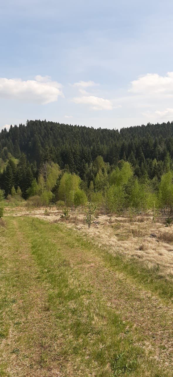 Дві ділянки в горах,супер ціна!!