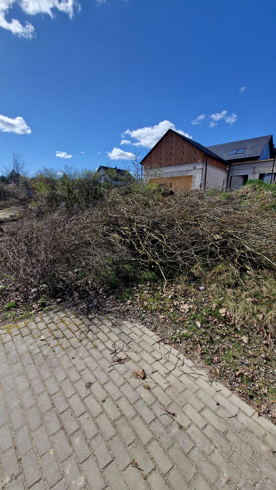 Oddam chrust, drewno, gałęzie za darmo