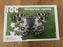 Puzzle dziecięce 100 szt