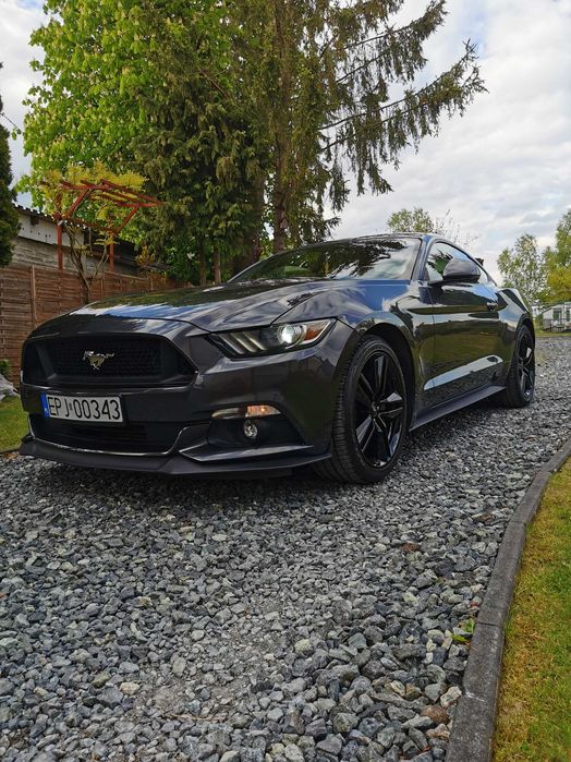 Ford Mustang 2.3 Niski Przebieg Wersja Europa w Bardzo Dobrym Stanie