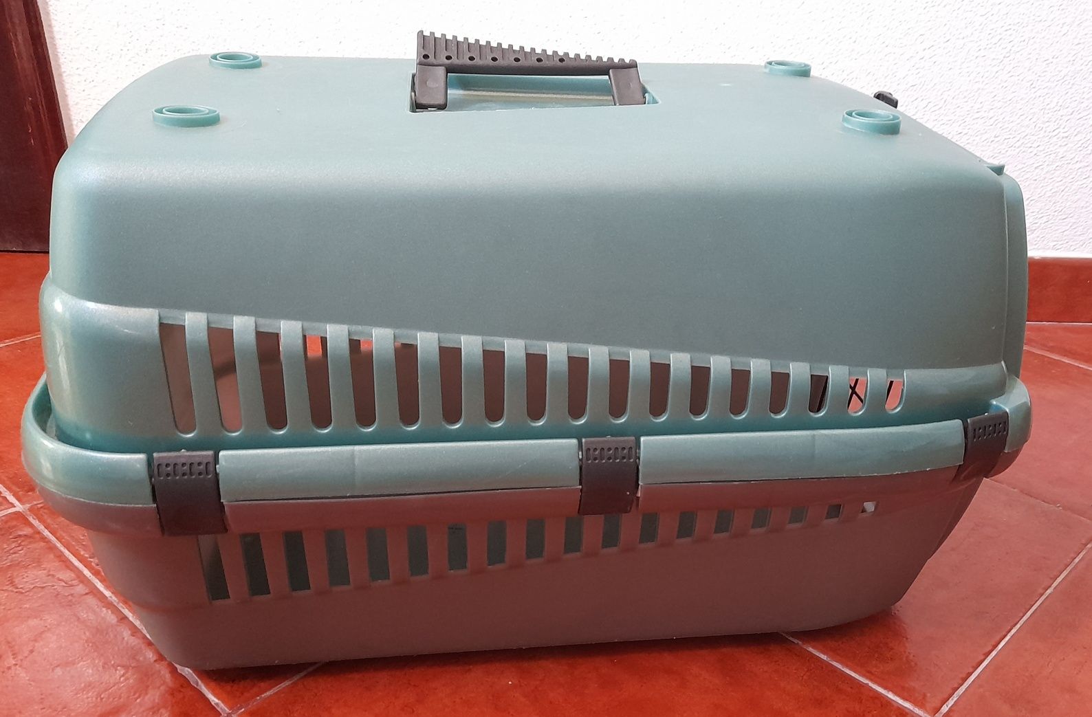 Transportadora de animais verde - Tam 3