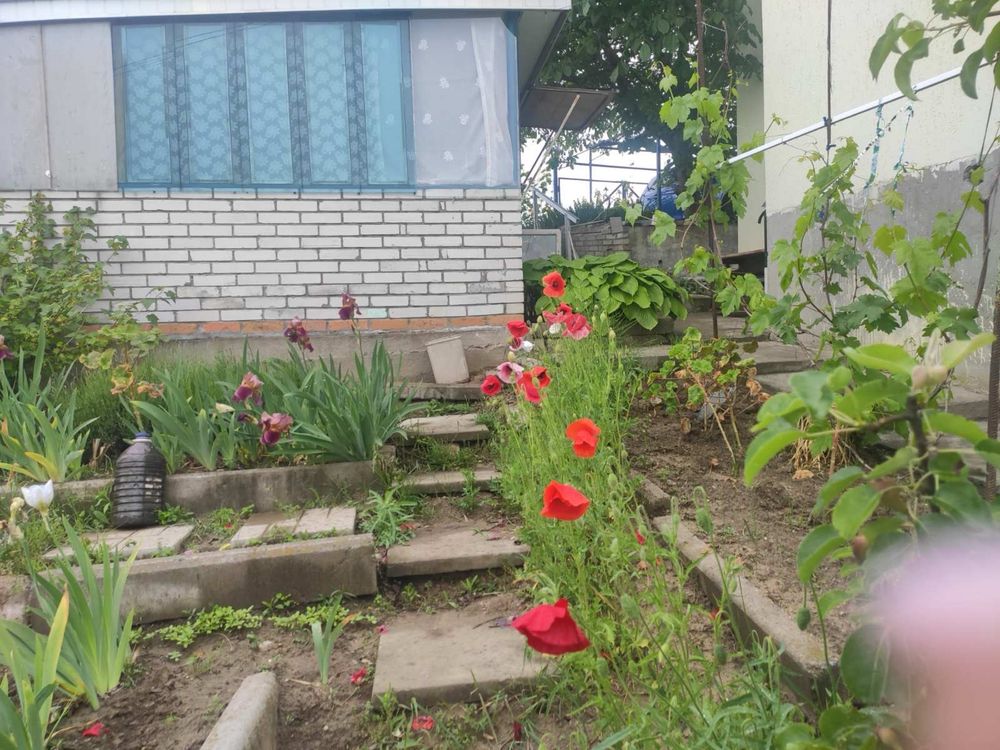 Продаж будинку Ходосівка