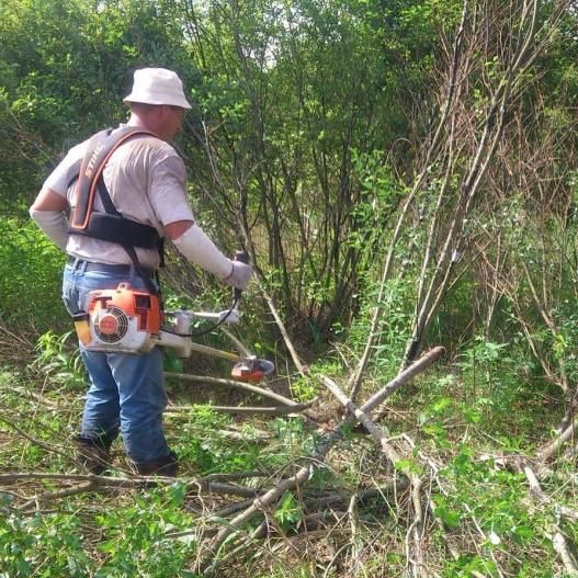 Очищення вашої ділянки від небажаної рослинності.