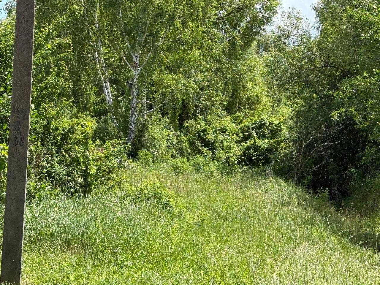 Продаж ділянки 12сот під забудову. Є охорона. Поряд ліс і озеро.ID:153