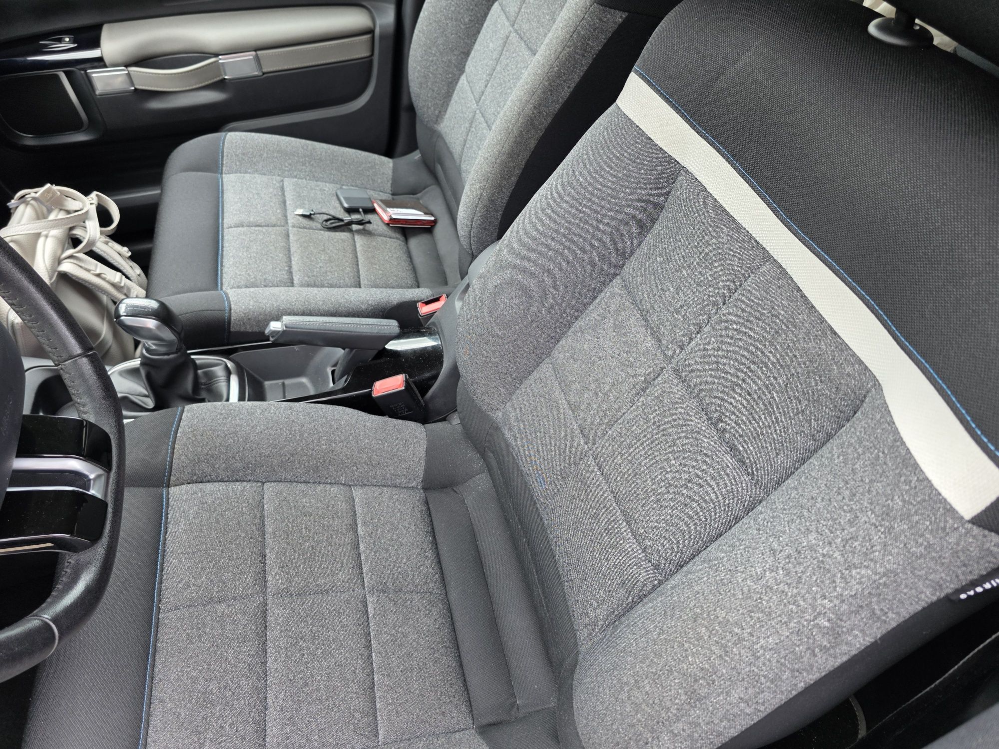 C4 cactus Shaine