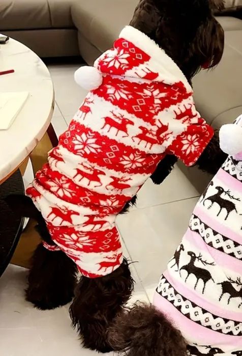 Świąteczna piżamka dla zwierząt