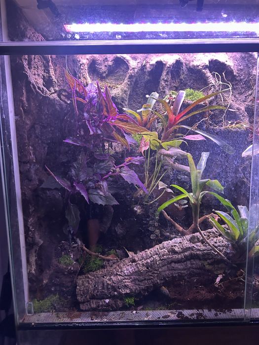 Terrium z calym wyposazeniem