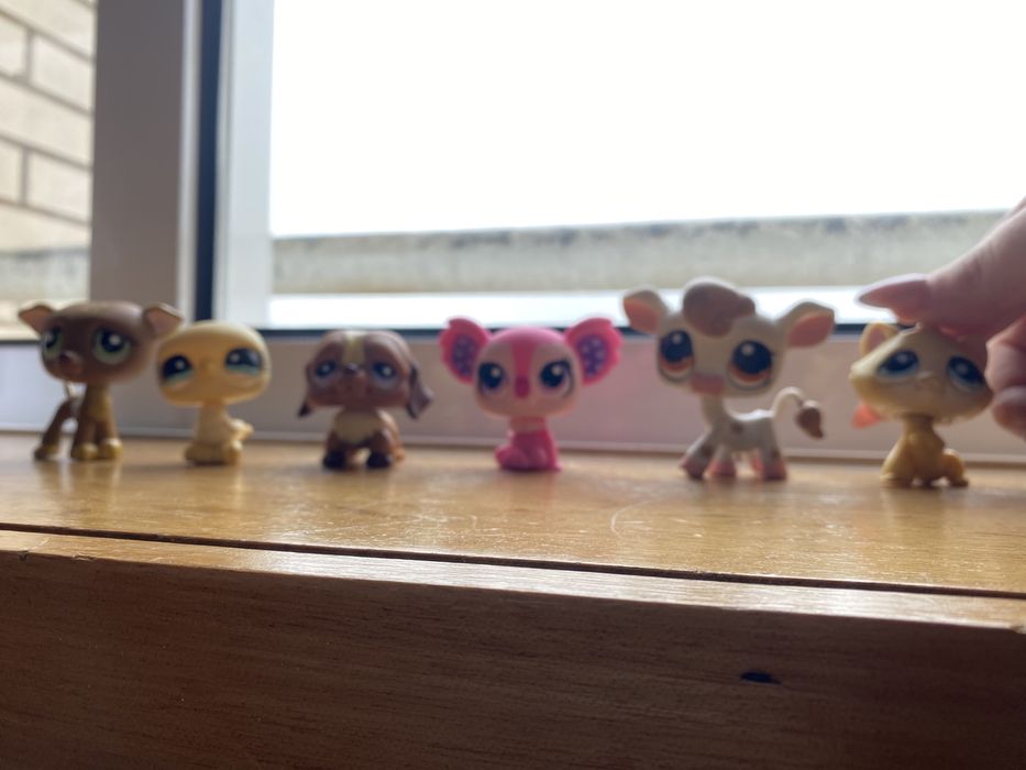 Little Pet Shop e gatos e minions