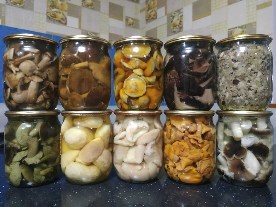 Опеньки мариновані великий асортмент маринованих грибочків