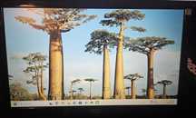 Monitor mobilny AOC 156LM00005 3.0 USB 15.6" 1366 x 768