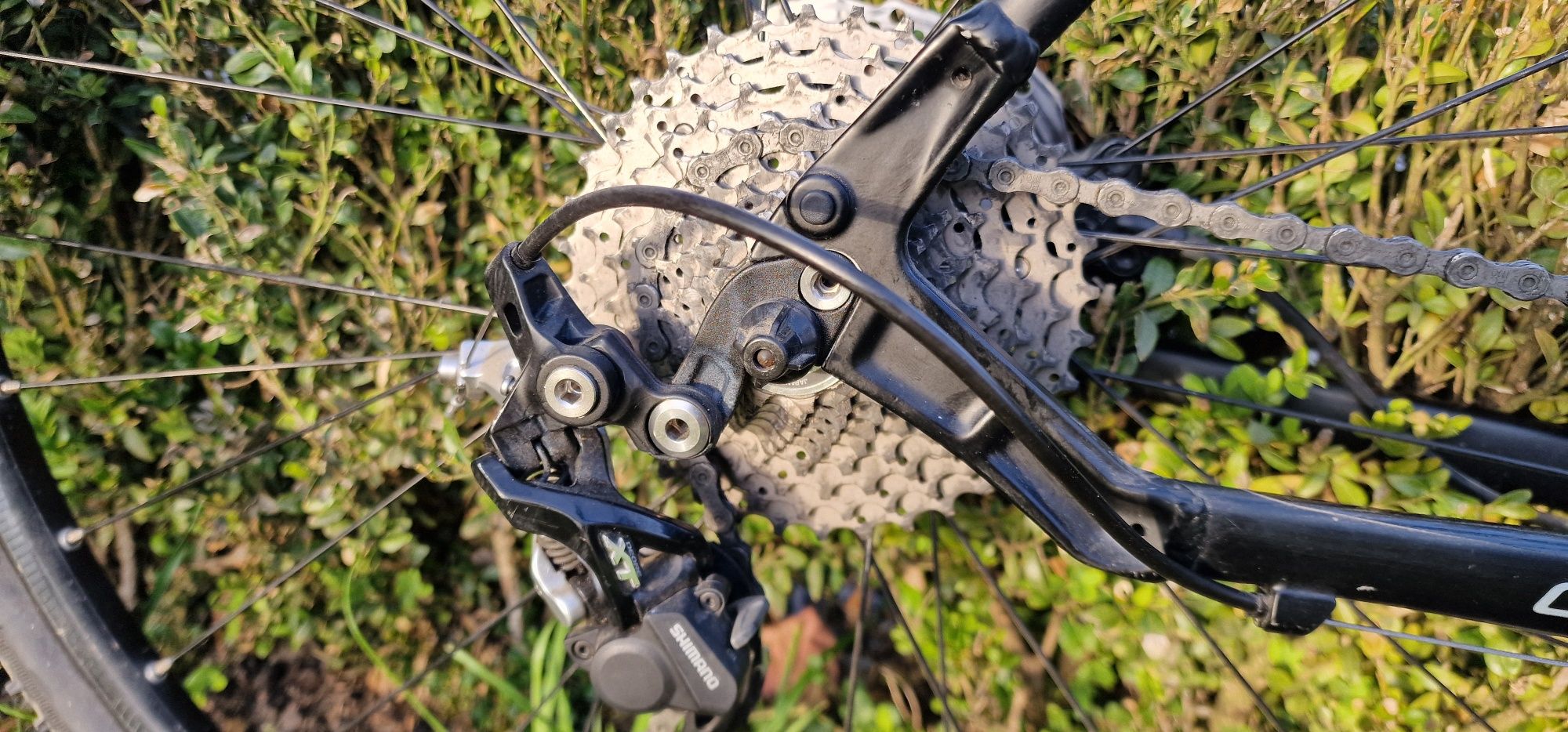 Specialized Cross trail
