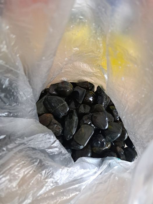 Tartarugueira e acessórios