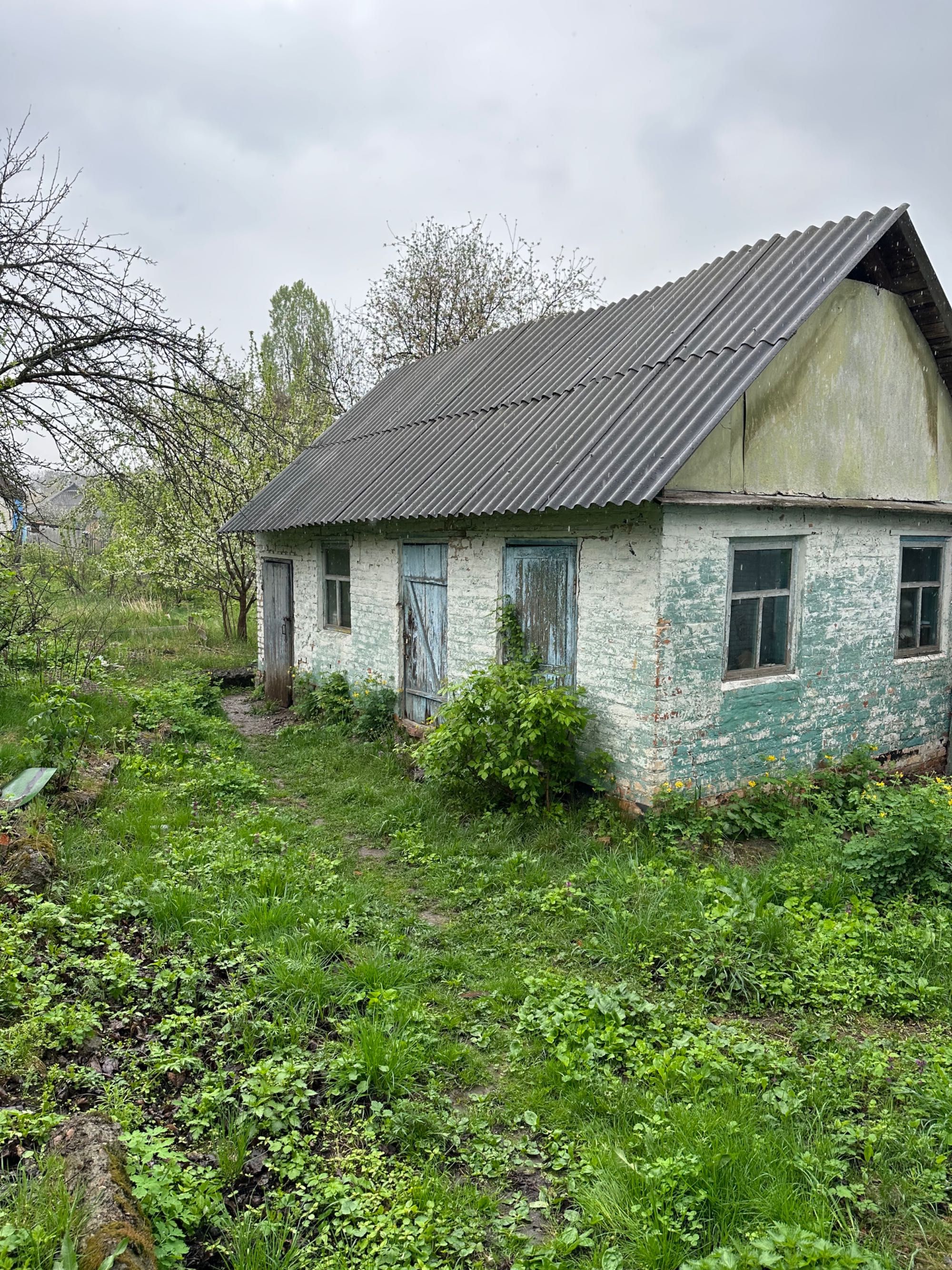 Терміново!!! Продам будинок по вул. Дружба. м.Лубни