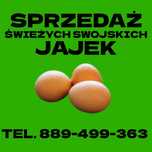 Sprzedaż wiejskich jajek