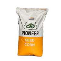 Pioneer 8834, 9241 i inne Nasiona kukurydzy 2024r Promocja 14+1 Gratis