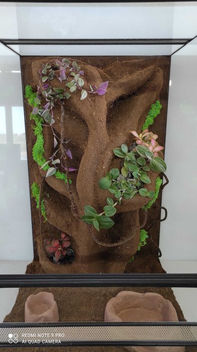 Terrarium dla gekona orzęsionego, czekoladowego, TW14TR, AquaWaves