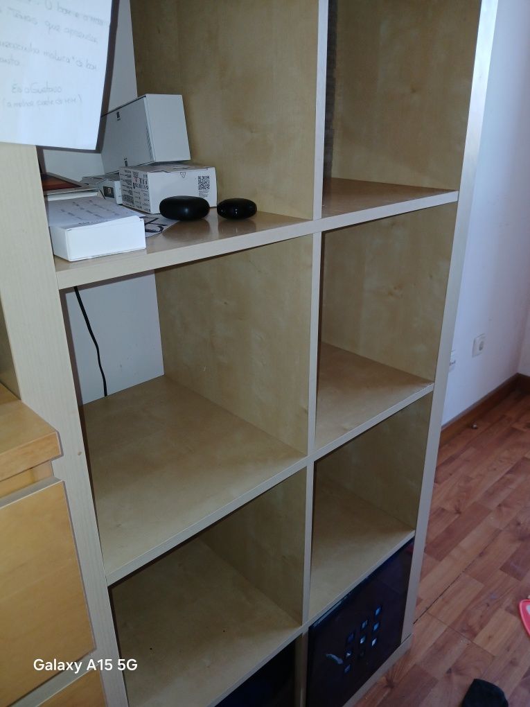 Kallax em bétula
