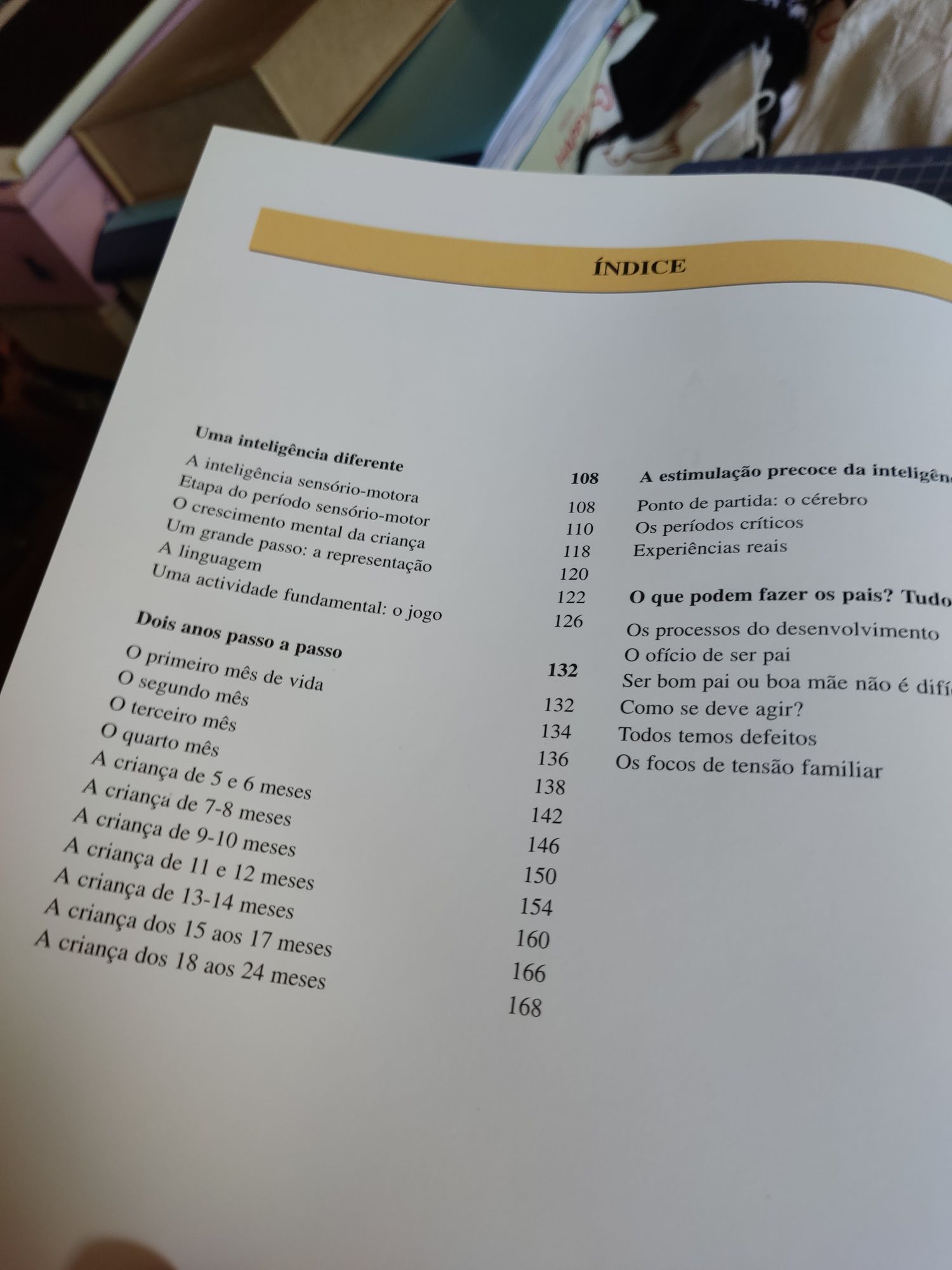 "Aprender - o desenvolvimento da inteligência"