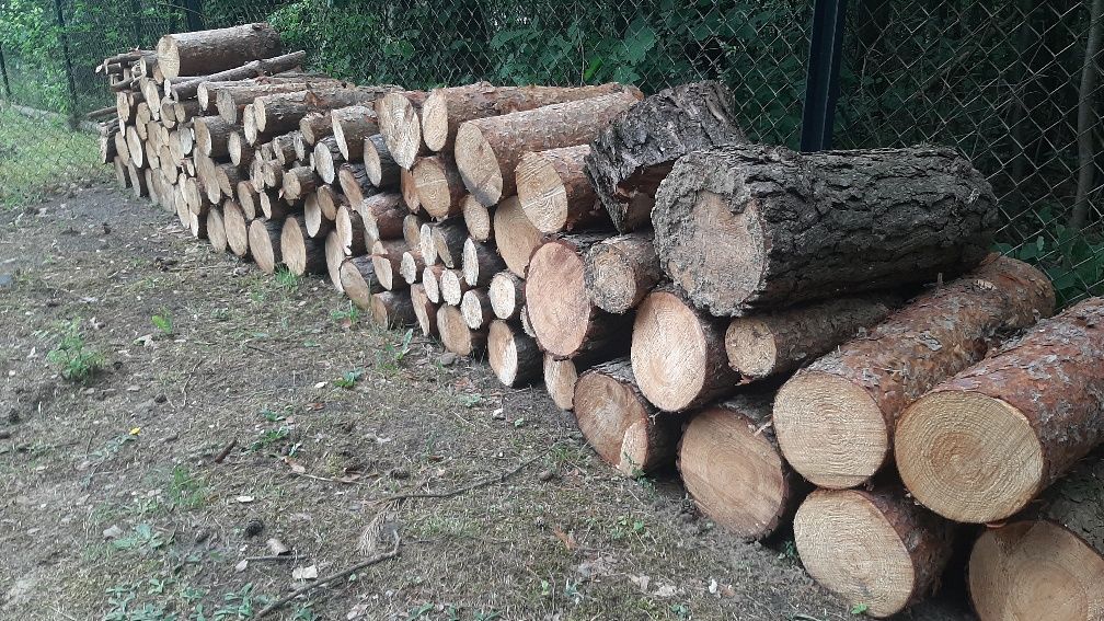 Drewno sosnowe na opał