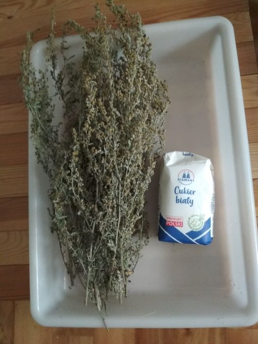 Bylica piołun suszony Artemisia absinthium 50g
