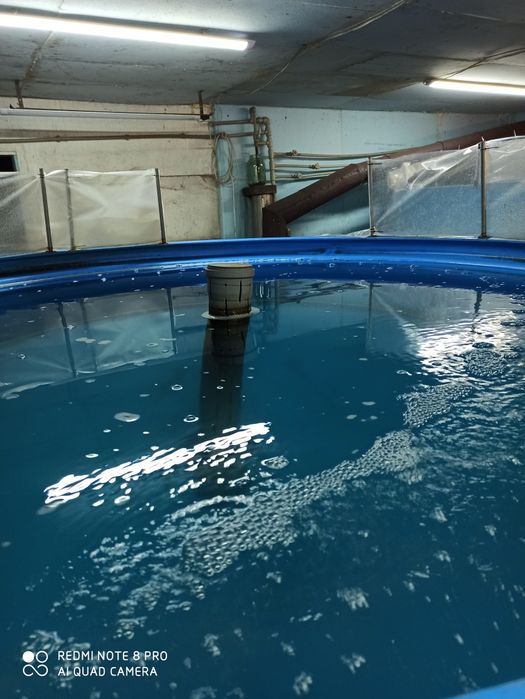 Продається обладнання для рибної ферми