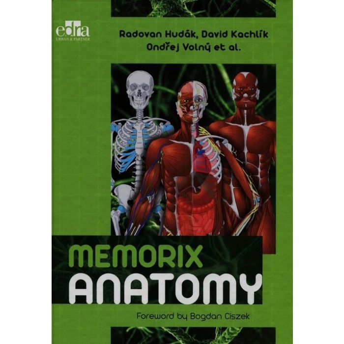 Memorix anatomia
